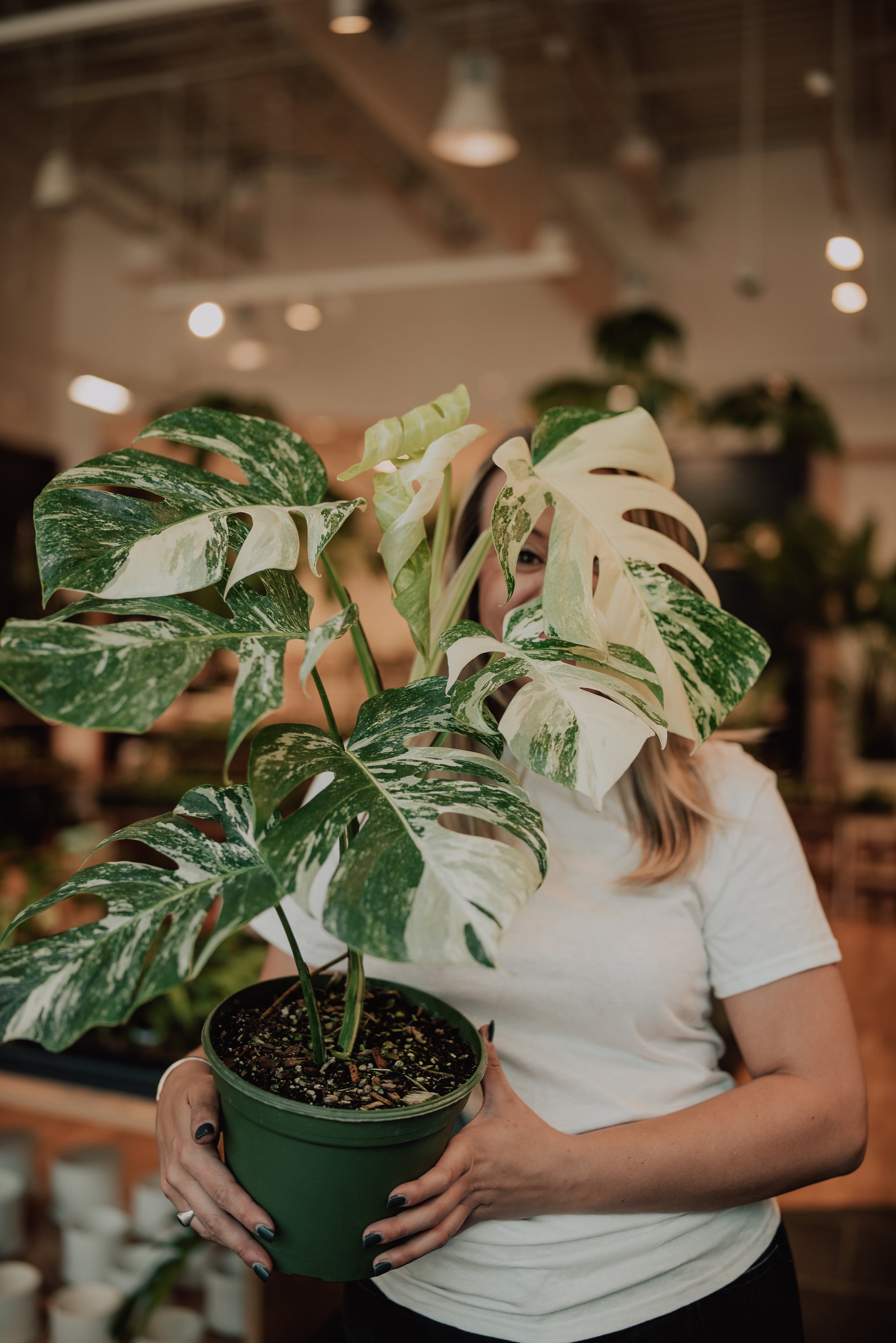 WEEKLY RESTOCK! – Page 3 – Lost in the Forrest