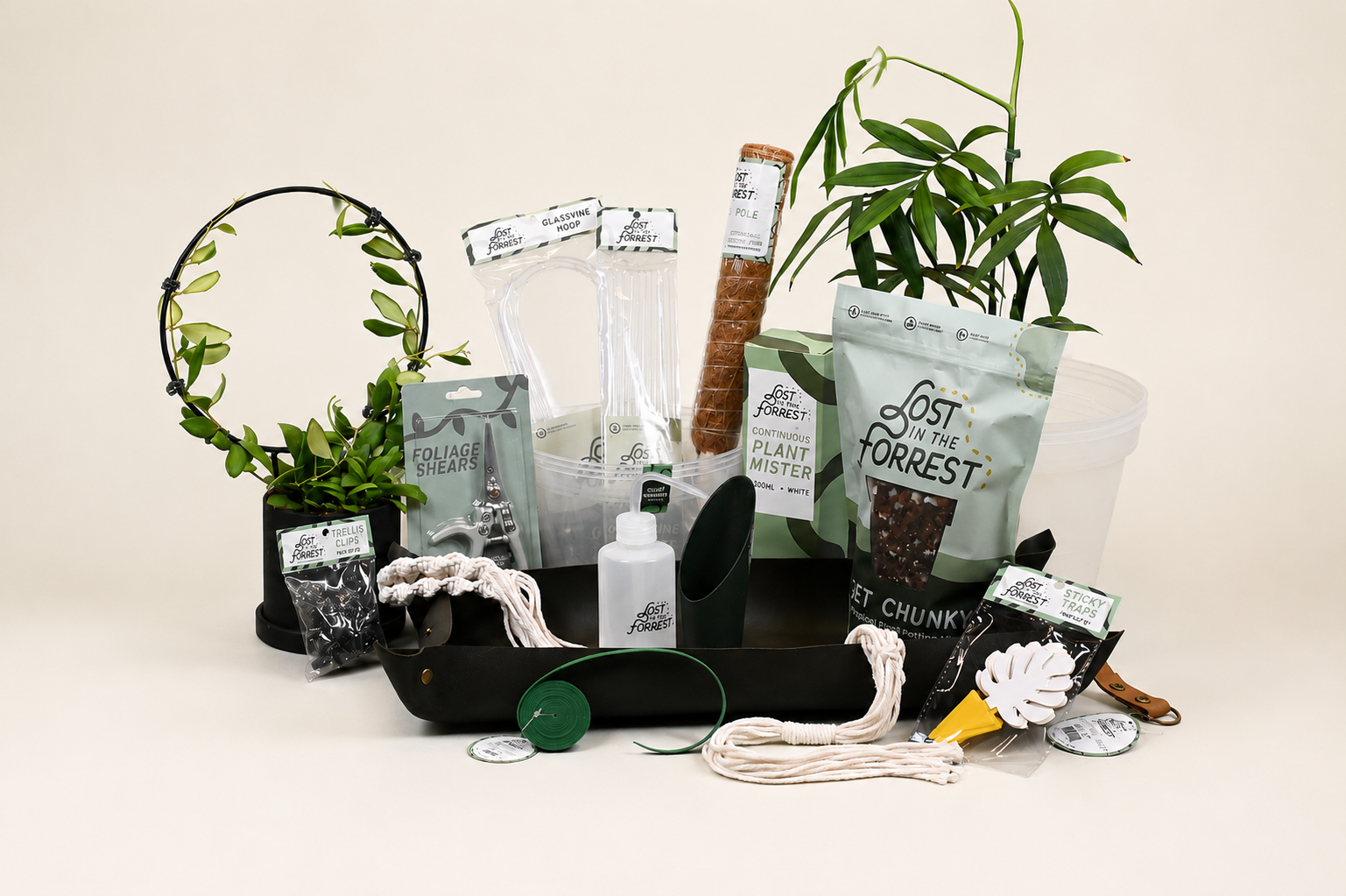 The LITF Collection