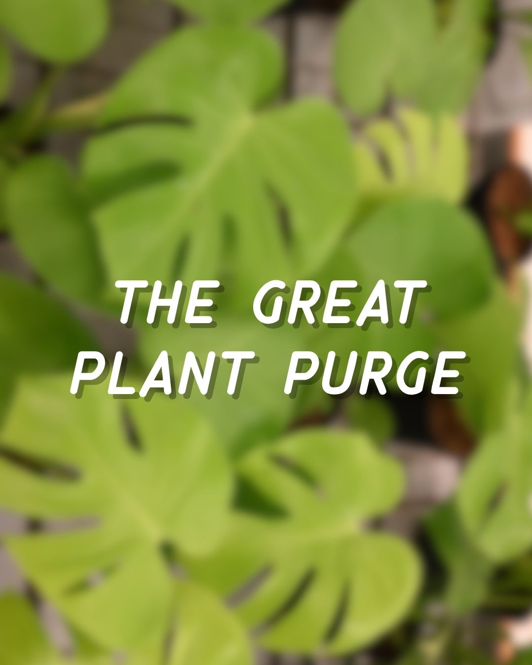 The Great Plant Purge