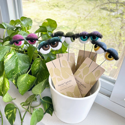 Planter Eyeballs with Lashes