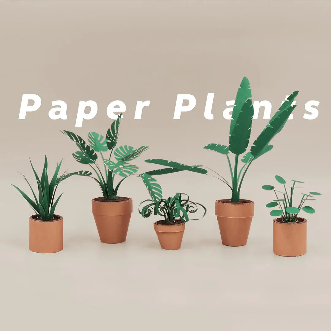 Paper Plants | DIY Origami Kit