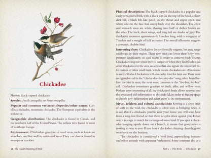 Hidden Meaning of Birds