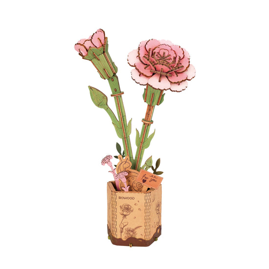 Pink Carnation