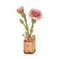 Pink Carnation