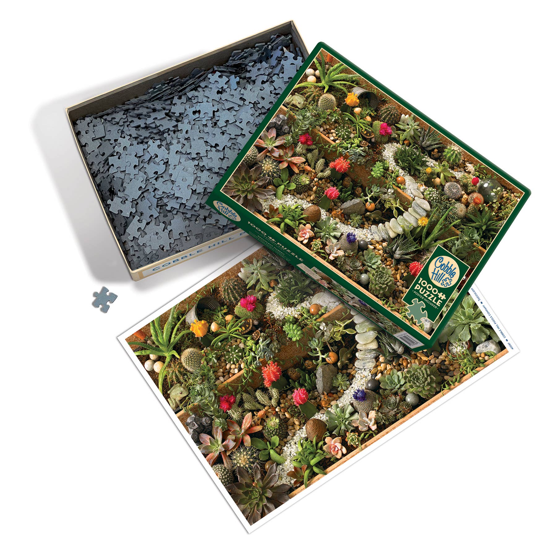 Succulent Garden puzzle