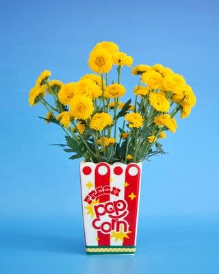 Vase, Popcorn Bag