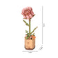 Pink Rose