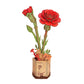 Red Carnation