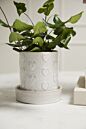 Heartfelt Pot with Saucer