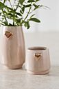 Lovelight Pot