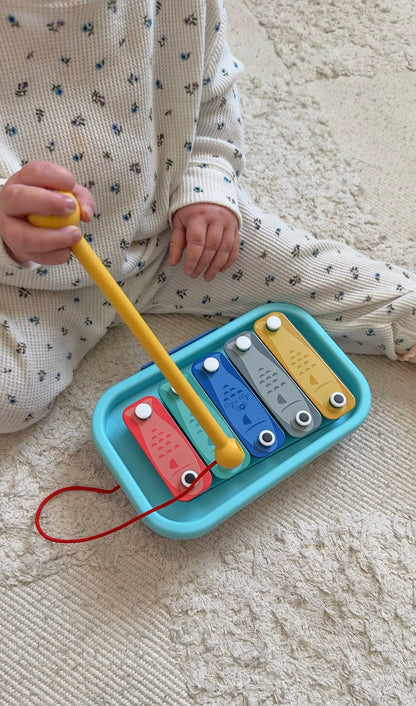 Xylophone Music School