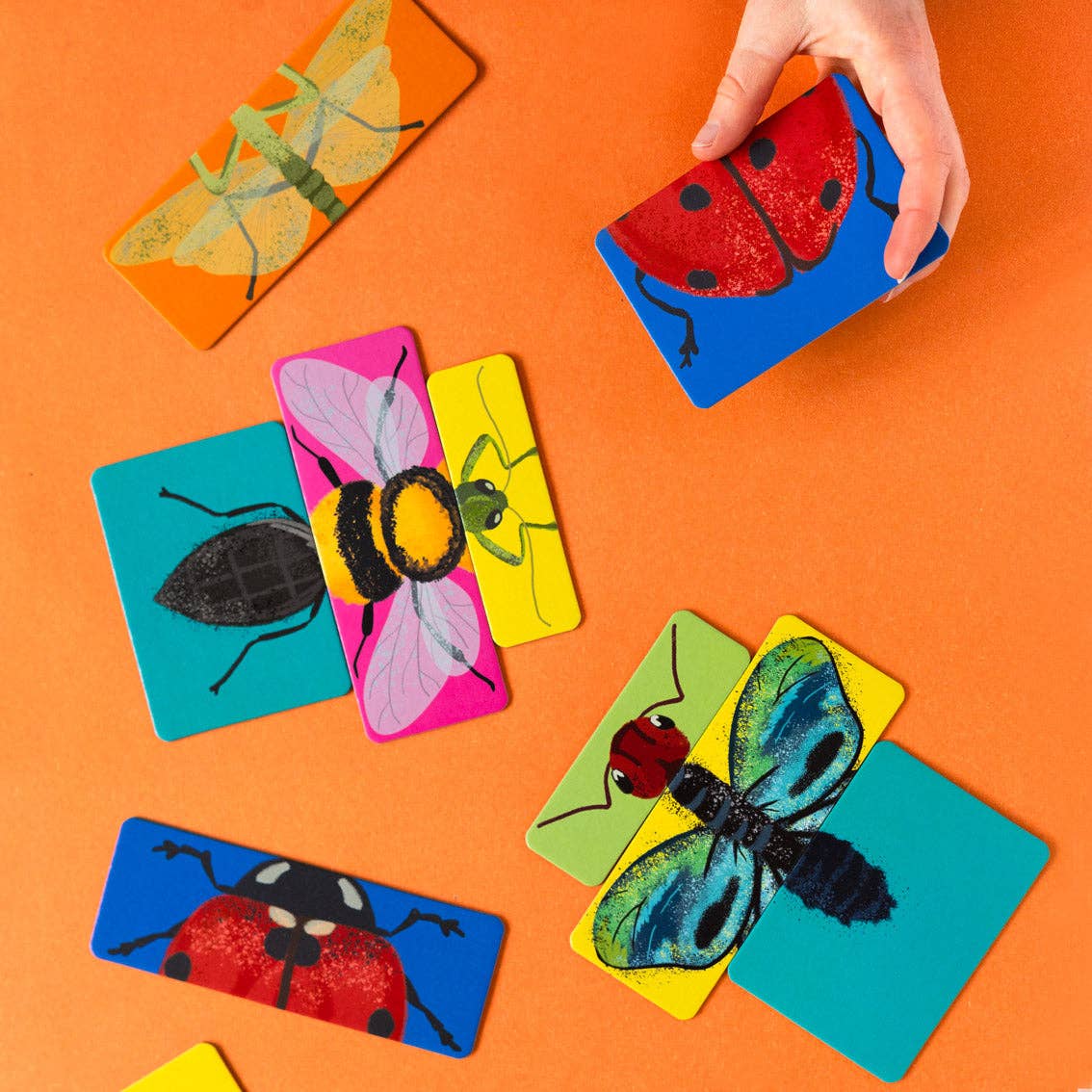 Bug Mash Up Game for Kids