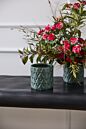 Foret Pot