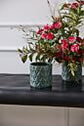 Foret Pot