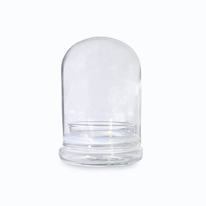 Small Glass Dome