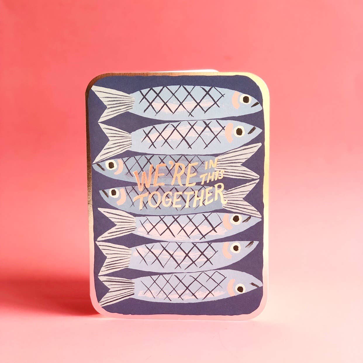 Sardines encouragement