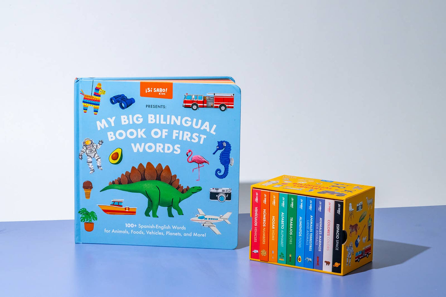 My Big Bilingual Book of First Words