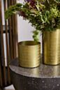 Cheerful Tidings Pot