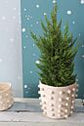 Felt Pom Pot Cover