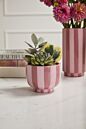 Pink Striped Collection