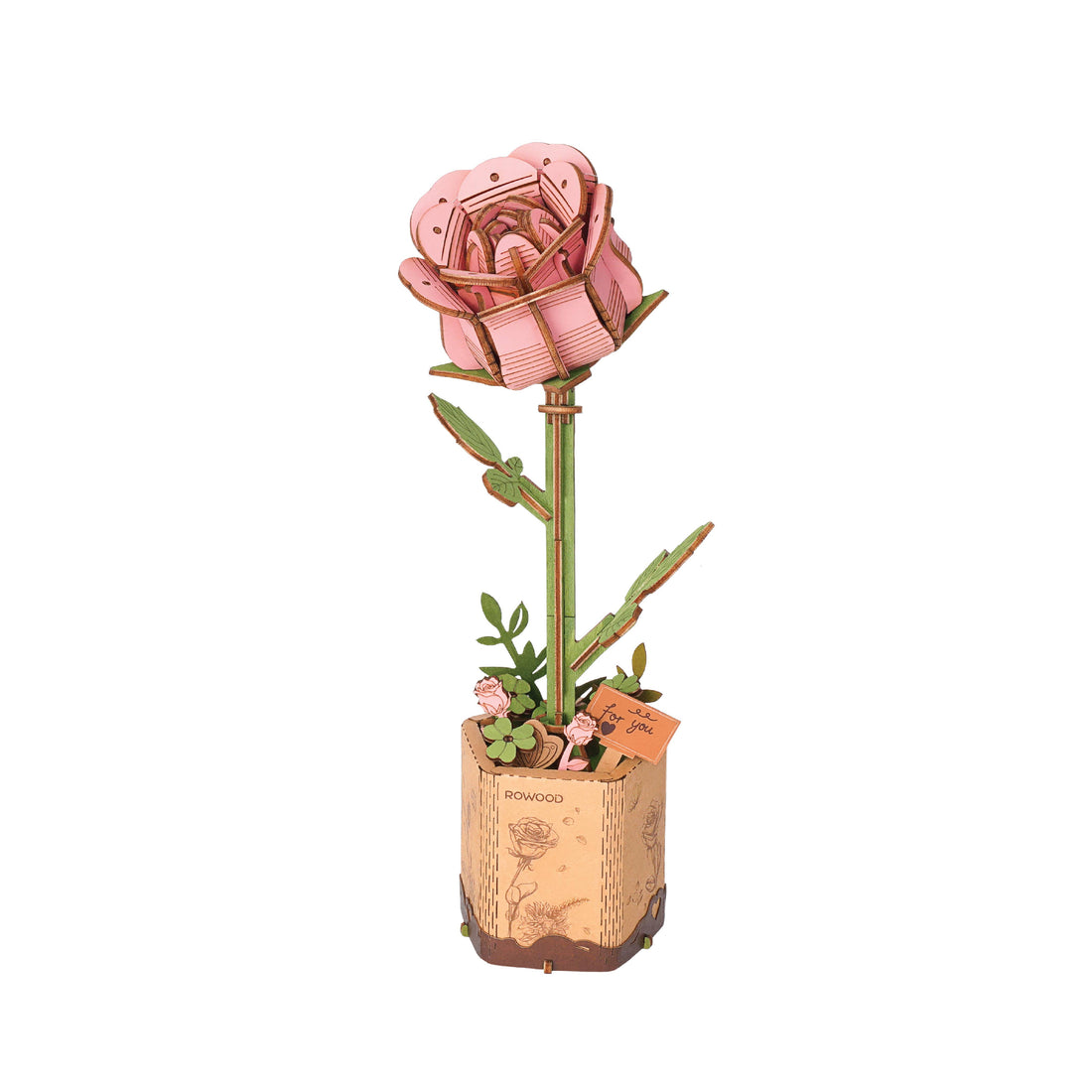 Pink Rose