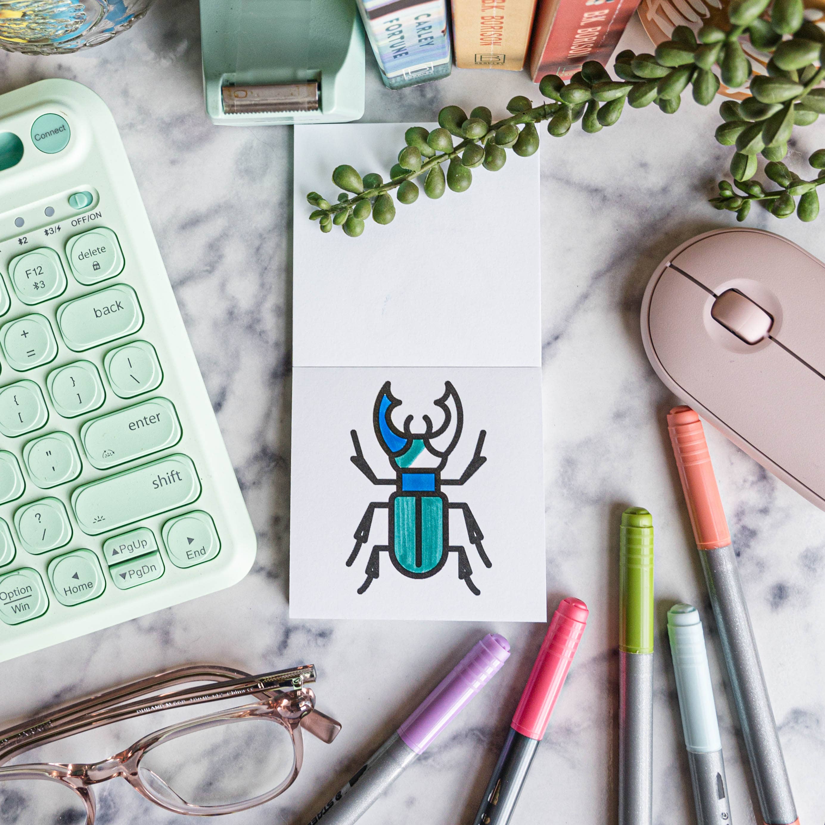 Birds Bugs and Botany Coloring Book