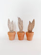Paint Your Own: Snake Plant