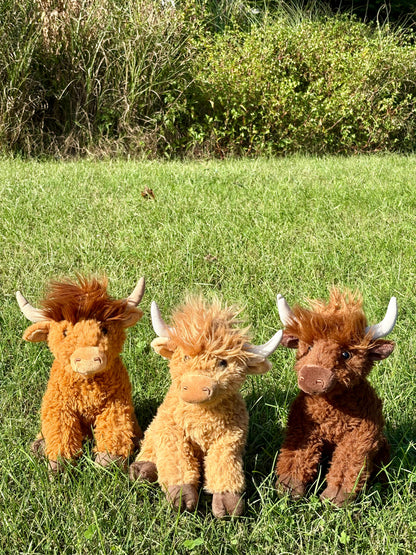 Wild Onez Highland Cow