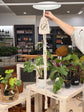 LITF Macrame Hanger