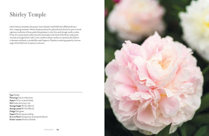 Peonies: Beautiful Varieties for Home &amp; Garden