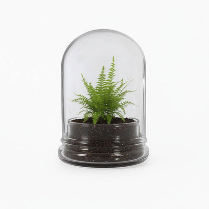 Small Glass Dome