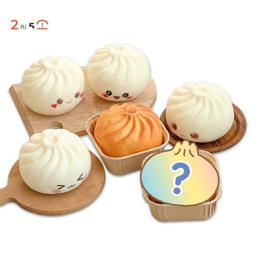 Grilled Dumpling Random Squishy Fidget