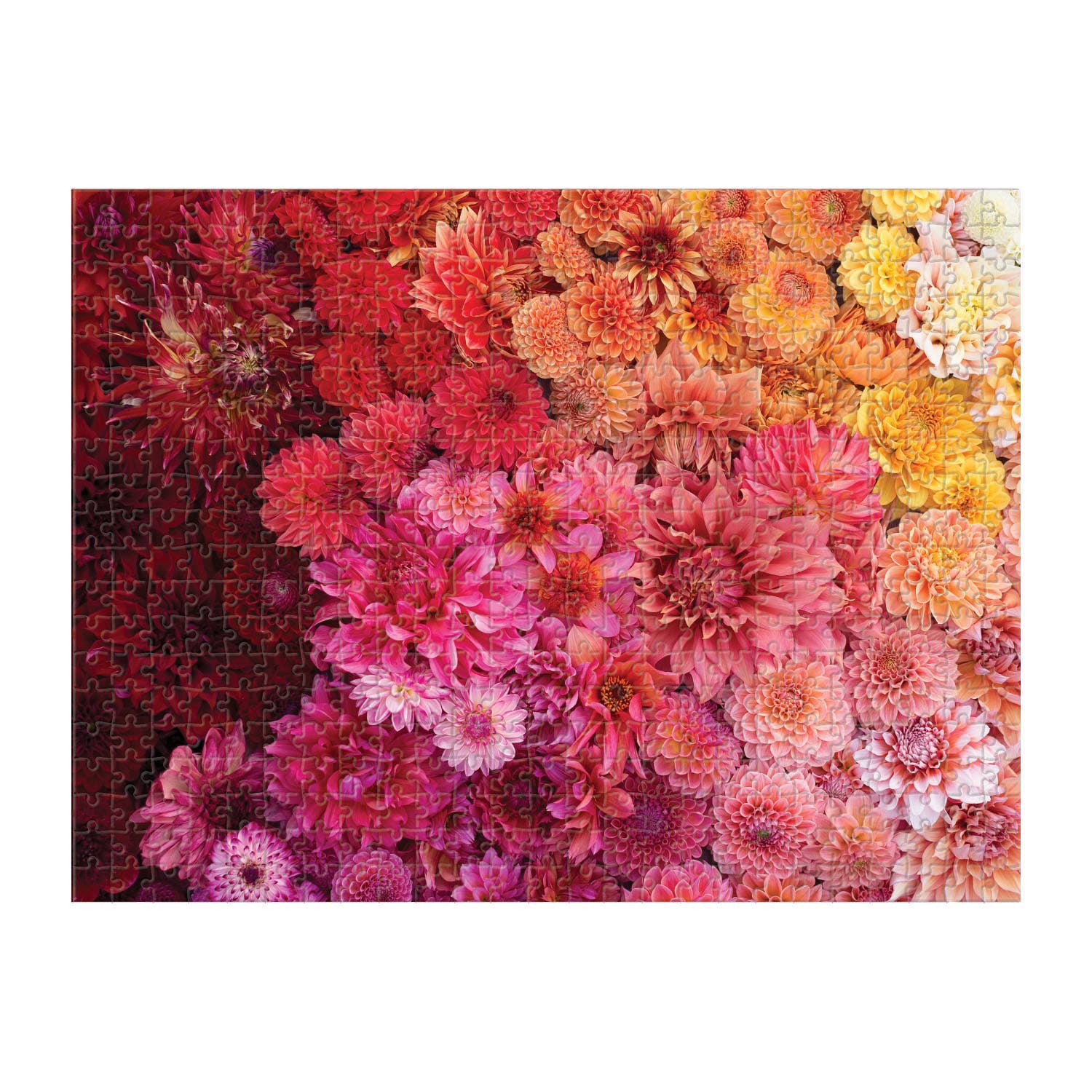 Floret Farm&