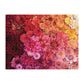 Floret Farm&