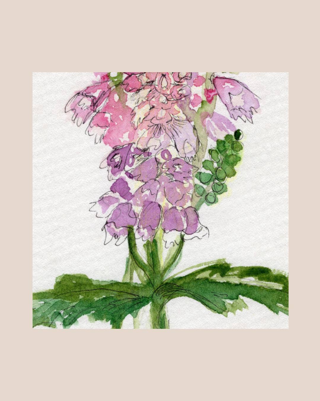 Wildflower Watercolor Print Botanical Wall Art