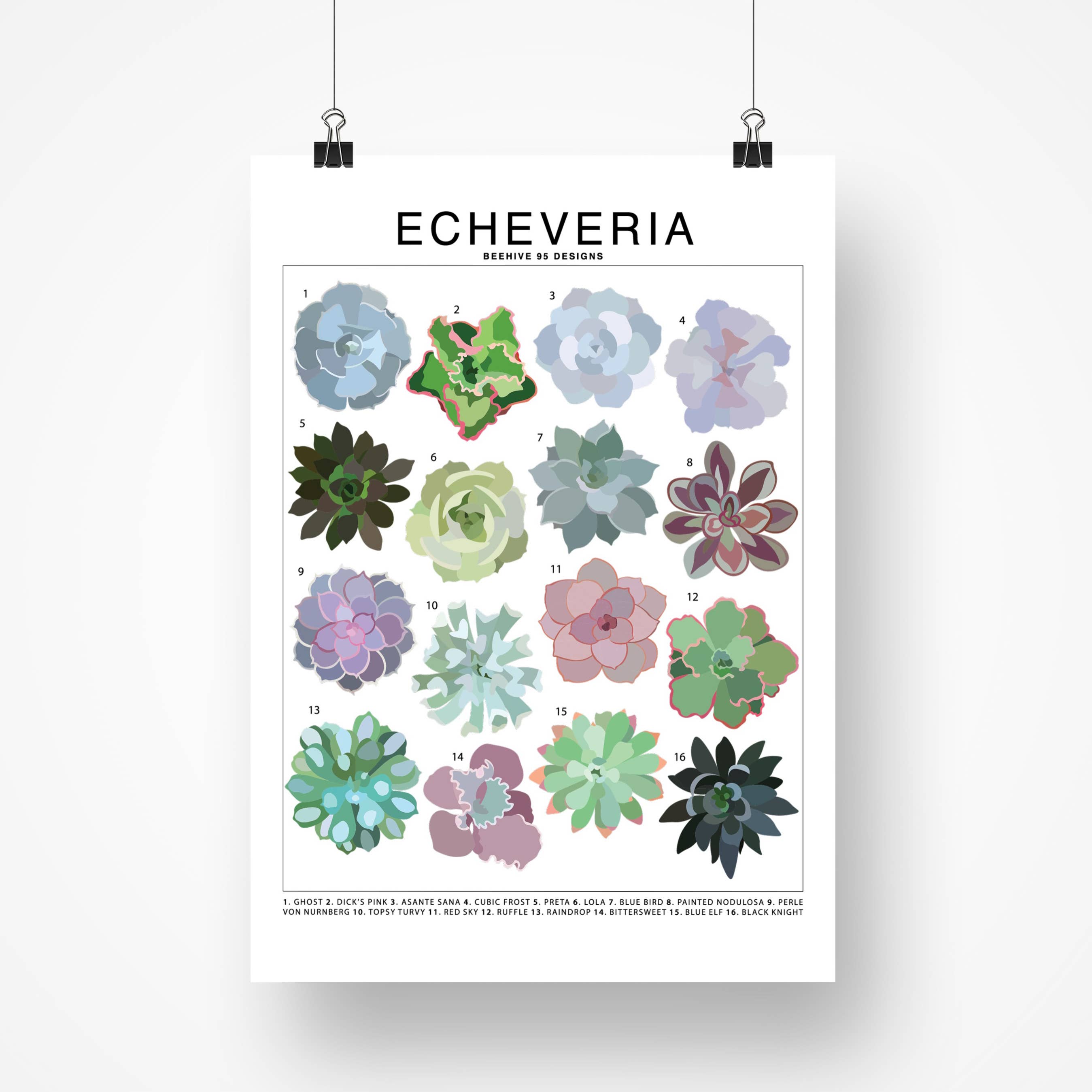 Species ID Chart - Botanical Houseplant Art Print