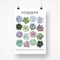 Species ID Chart - Botanical Houseplant Art Print