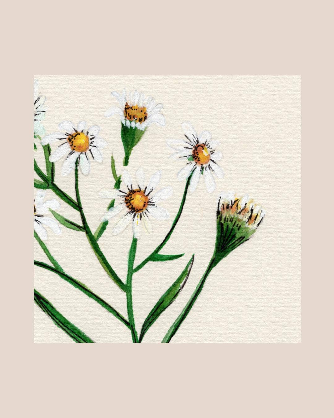 Wildflower Watercolor Print Botanical Wall Art