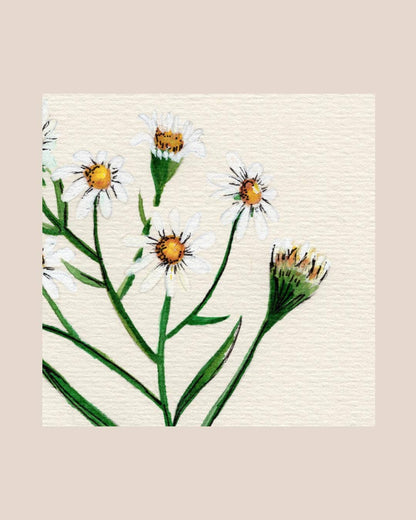 Wildflower Watercolor Print Botanical Wall Art