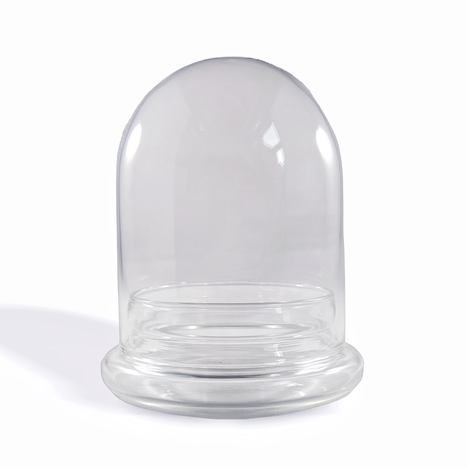 Medium Glass Dome