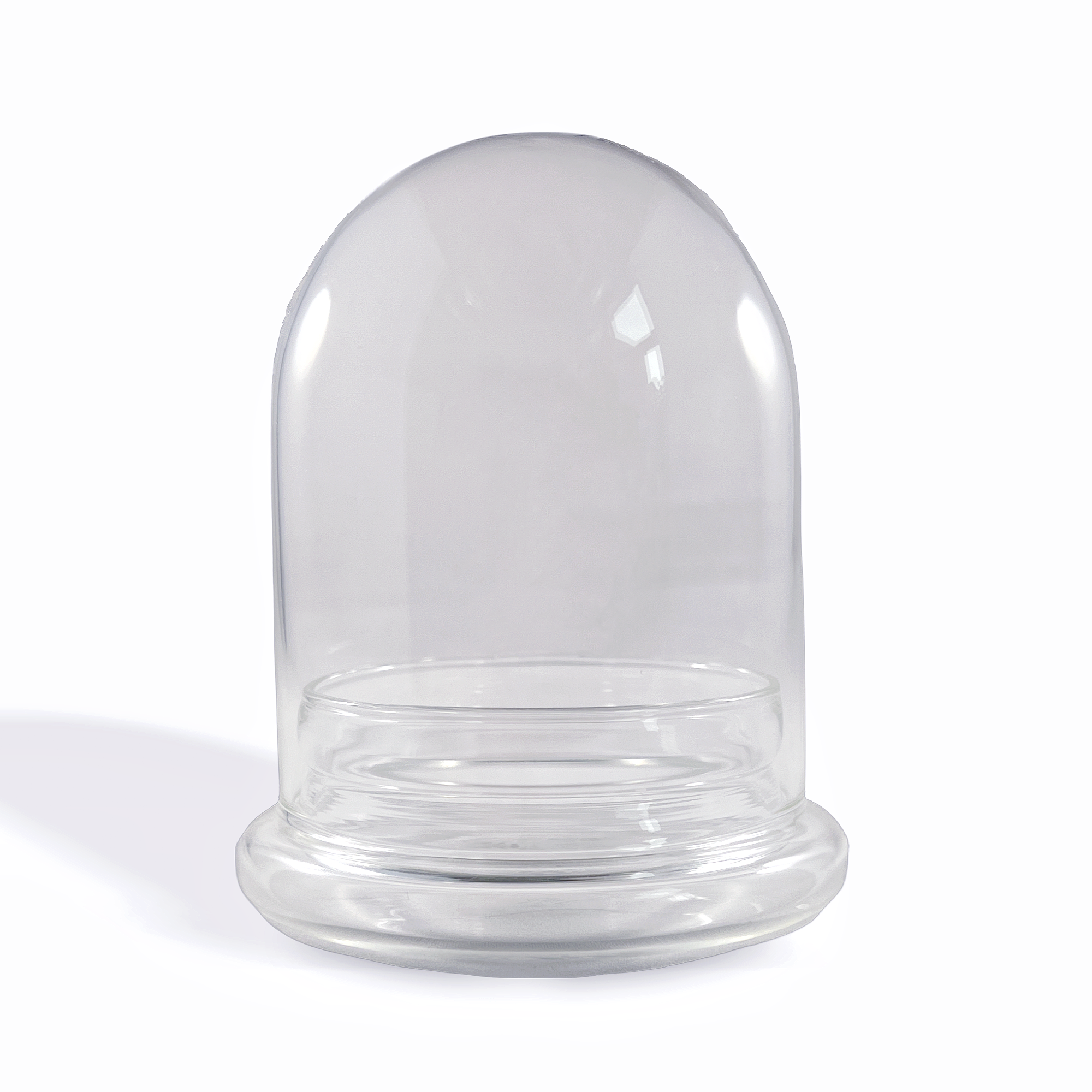 Medium Glass Dome