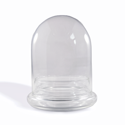 Medium Glass Dome