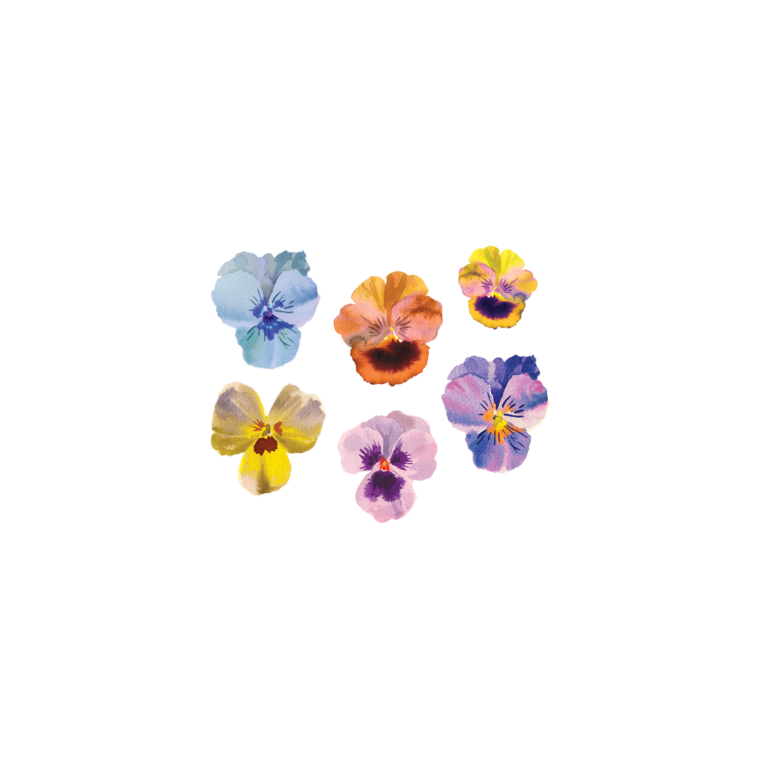 Pansies Tattoo Pair