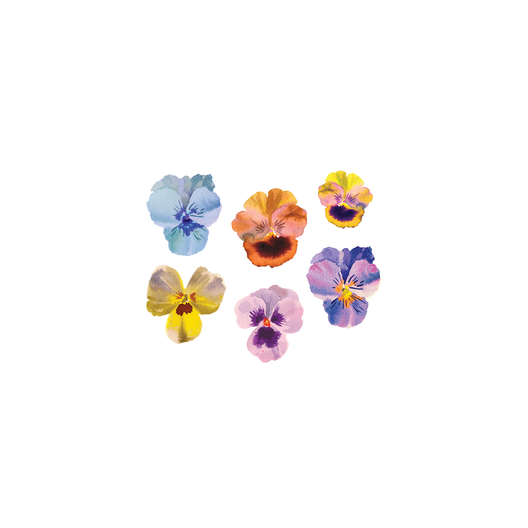 Pansies Tattoo Pair