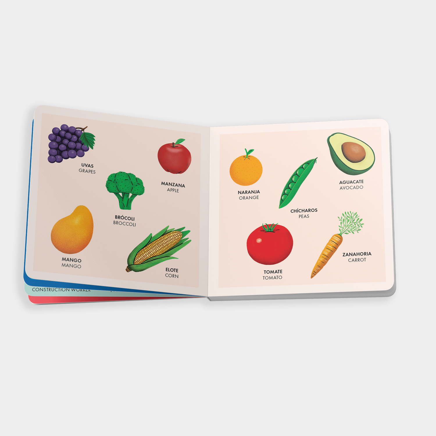My Big Bilingual Book of First Words