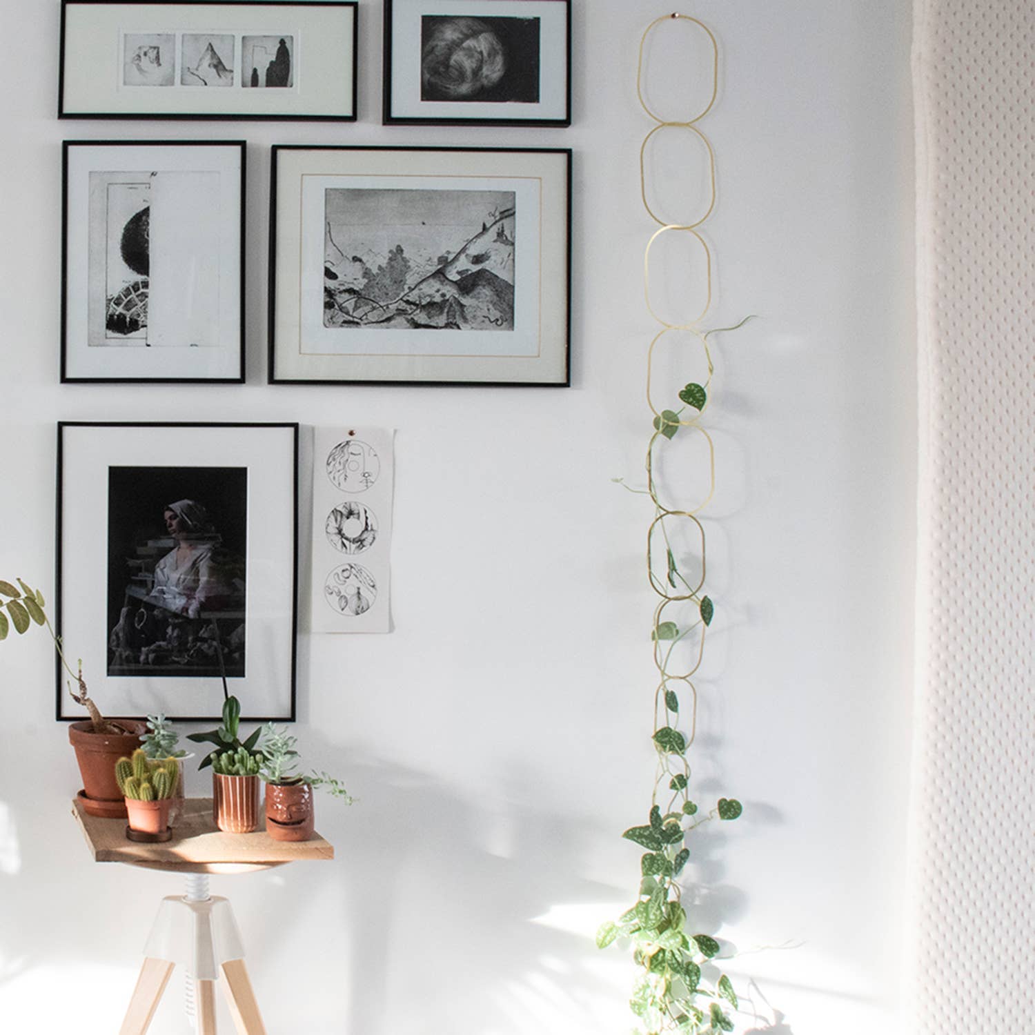 Gold Brass Chain - Plant Support for climbing plants