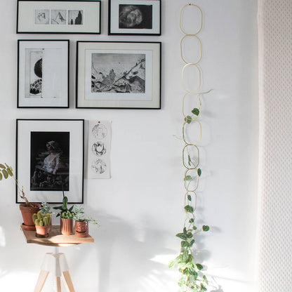 Gold Brass Chain - Plant Support for climbing plants