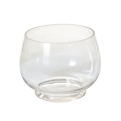 Discovery Terrarium