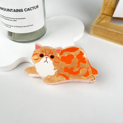 Cat claw clip