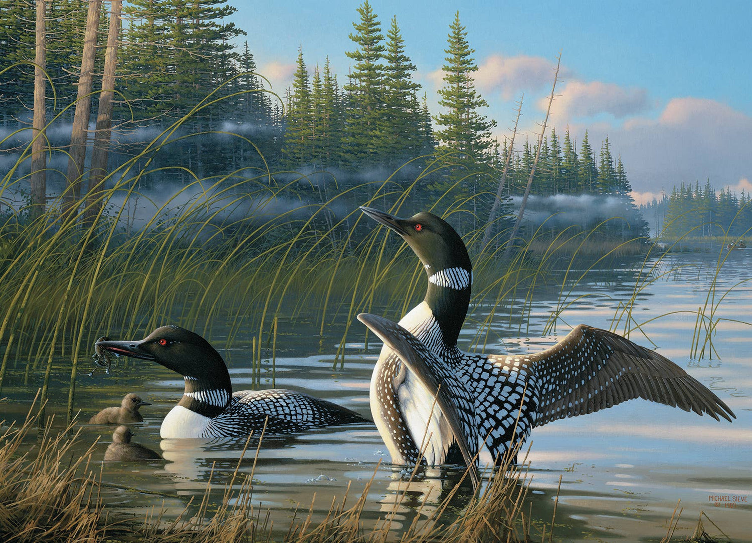 Common Loons puzzle